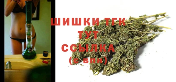 mdpv Богородицк