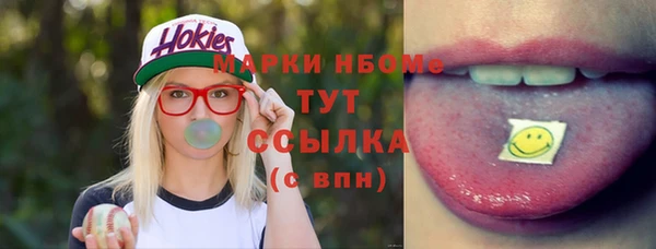 mdpv Богородицк