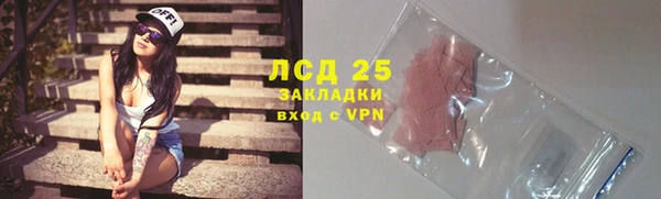 ECSTASY Богданович