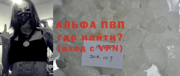 ECSTASY Богданович