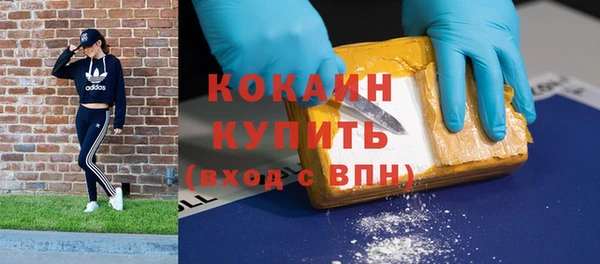 ECSTASY Богданович