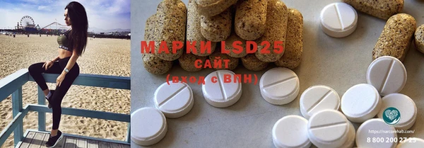 ECSTASY Богданович