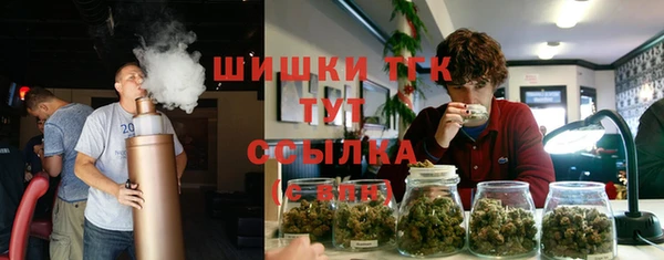 a pvp Бородино