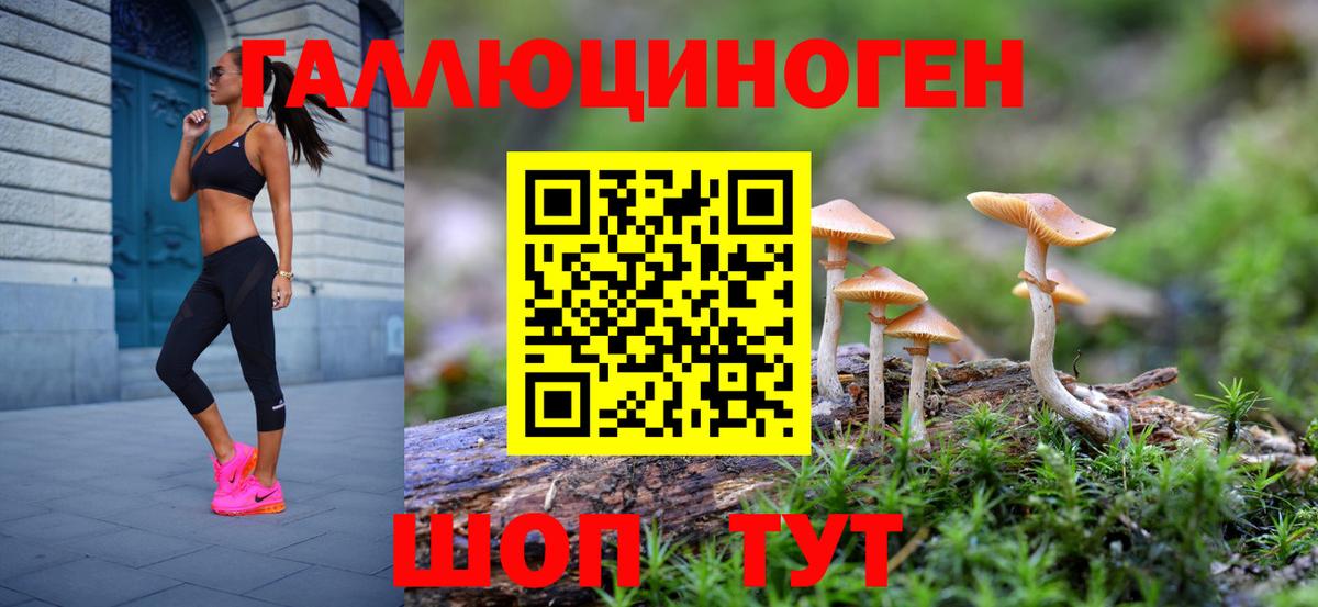 где можно купить наркотик  Псилоцибиновые грибы Cubensis  Вход с VPN  Псилоцибиновые грибы мухоморы  Семилуки 