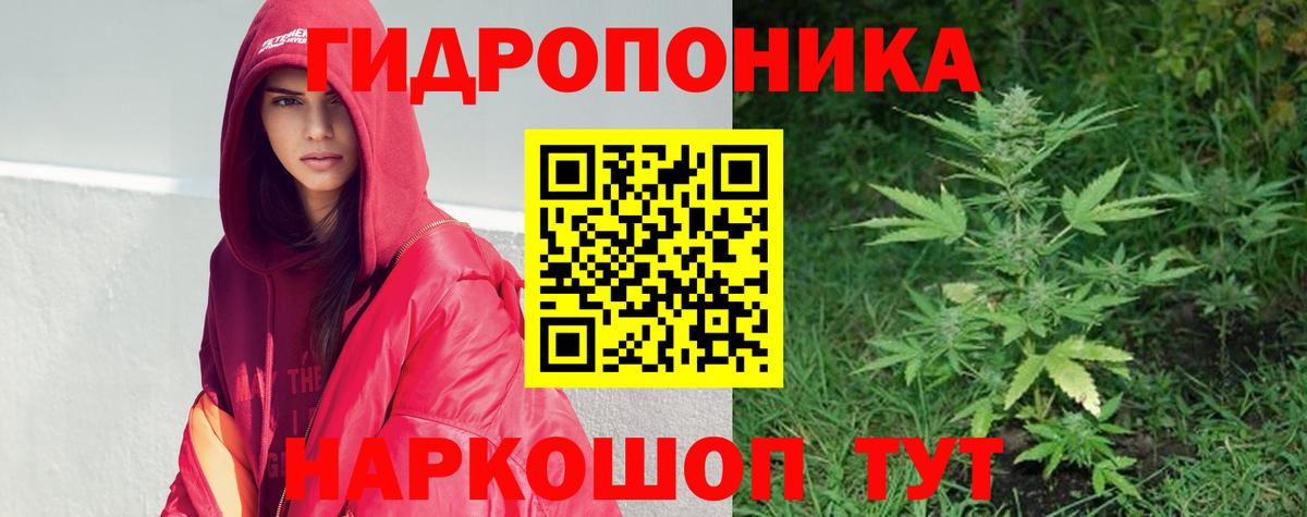 Канабис планчик Семилуки